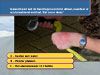 Theorie examen 43