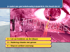Theorie examen 20